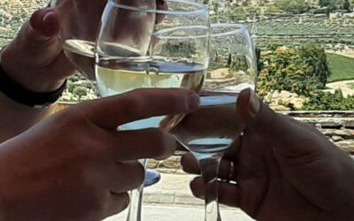 Kto błądzi znajduje nowe rozwiązania, czyli potencjał porażki