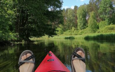 Najważniejsze to&nbsp;właściwy kierunek